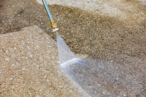 Best Solar Panel Cleaning  in Chester, CA